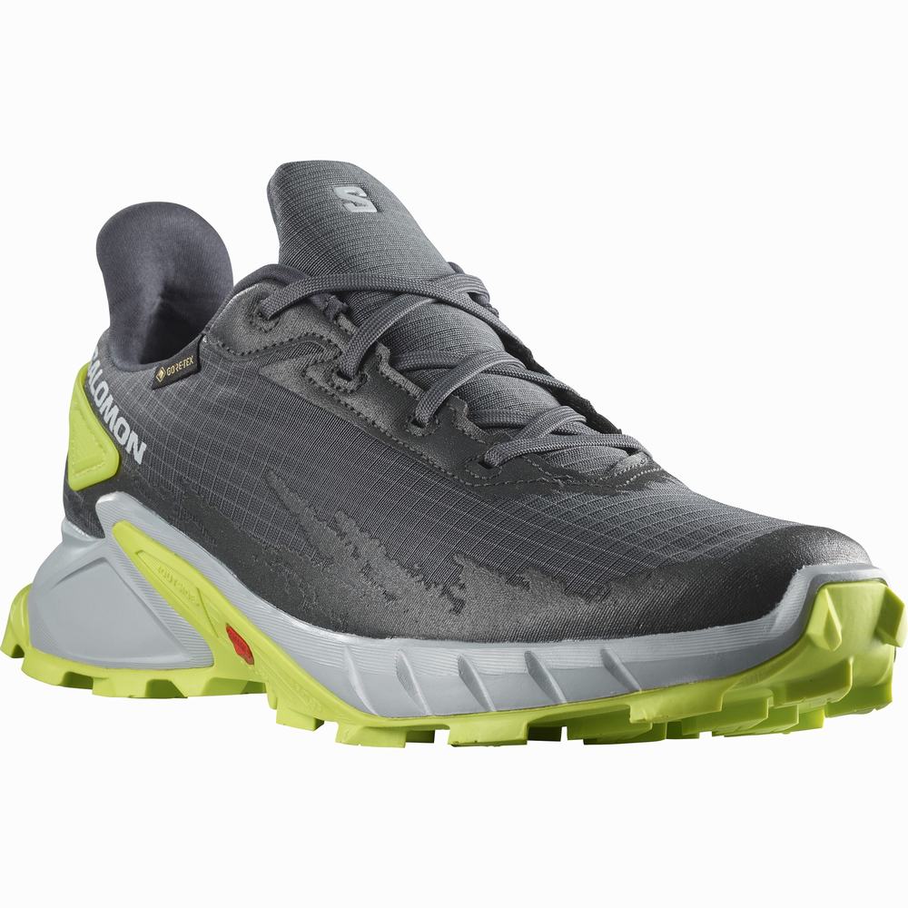 Salomon Alphacross 4 Gore-tex Patika Koşu Ayakkabısı Erkek Yeşil | Türkiye-5962374