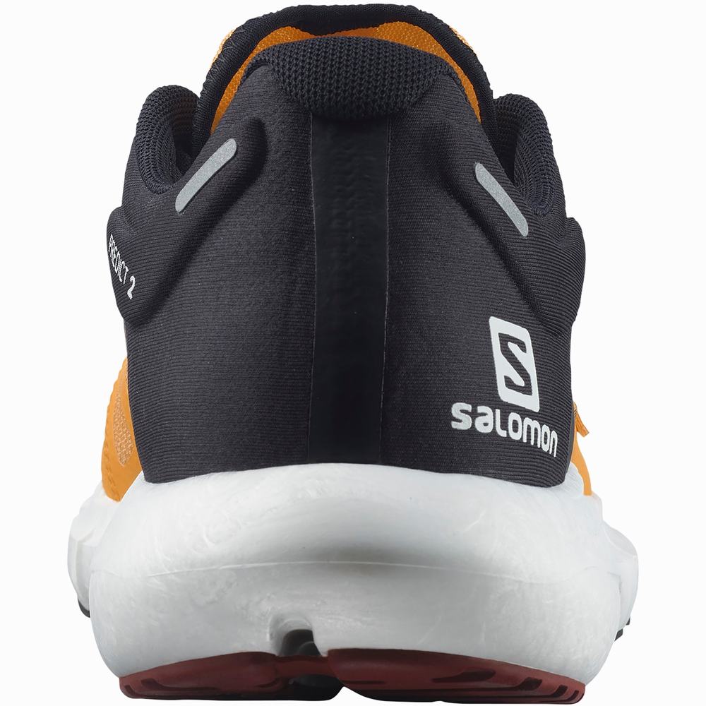 Salomon Predict 2 Koşu Ayakkabısı Erkek Orange/Black/Brown | Türkiye-5297483