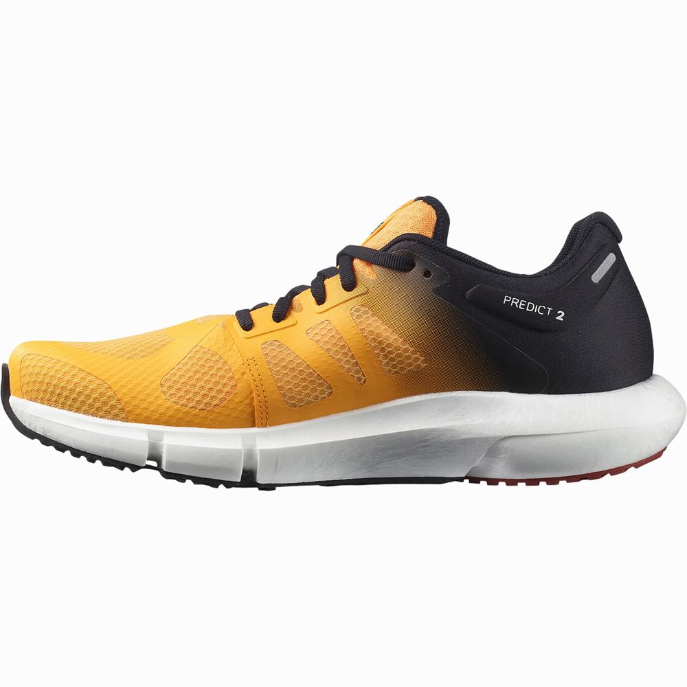 Salomon Predict 2 Koşu Ayakkabısı Erkek Orange/Black/Brown | Türkiye-5297483