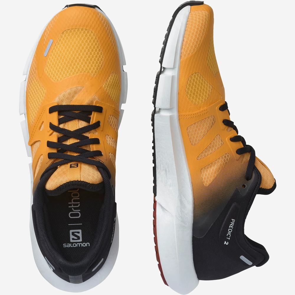 Salomon Predict 2 Koşu Ayakkabısı Erkek Orange/Black/Brown | Türkiye-5297483