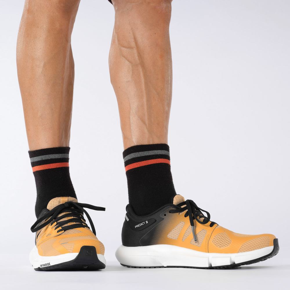 Salomon Predict 2 Koşu Ayakkabısı Erkek Orange/Black/Brown | Türkiye-5297483