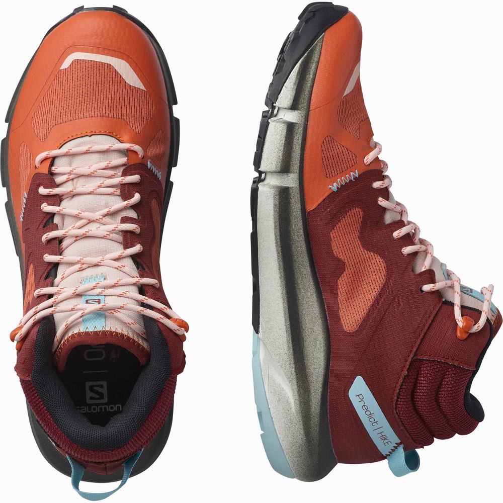 Salomon Predict Hike Mid Cut Gore-tex Yürüyüş Botu Kadın Orange/Brown/Blue | Türkiye-9824537