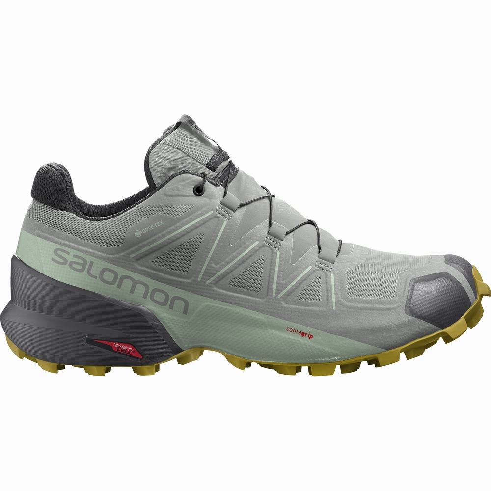 Salomon Speedcross 5 Gore-tex Patika Koşu Ayakkabısı Kadın Grey/Turquoise | Türkiye-4731265