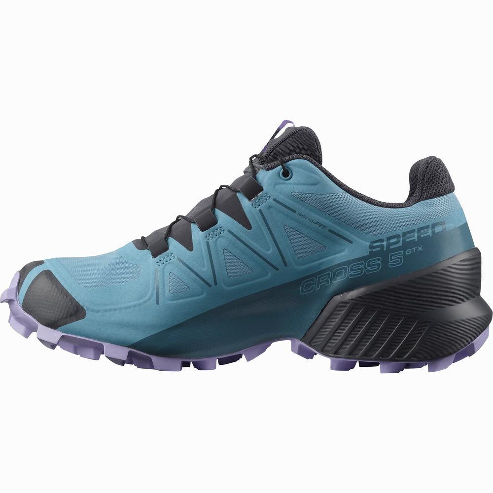 Salomon Speedcross 5 Gore-tex Patika Koşu Ayakkabısı Kadın Blue/Lavender | Türkiye-8467059