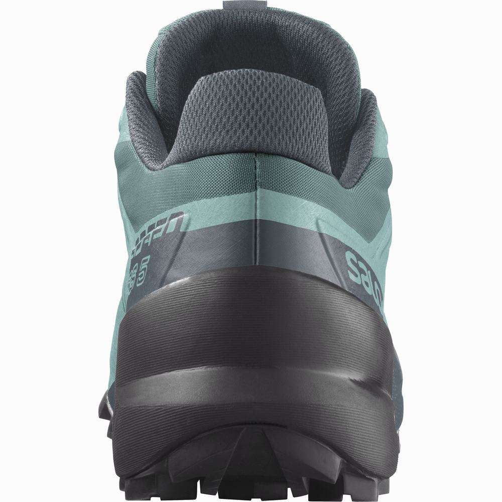 Salomon Speedcross 5 Patika Koşu Ayakkabısı Kadın Turkuaz | Türkiye-2379510