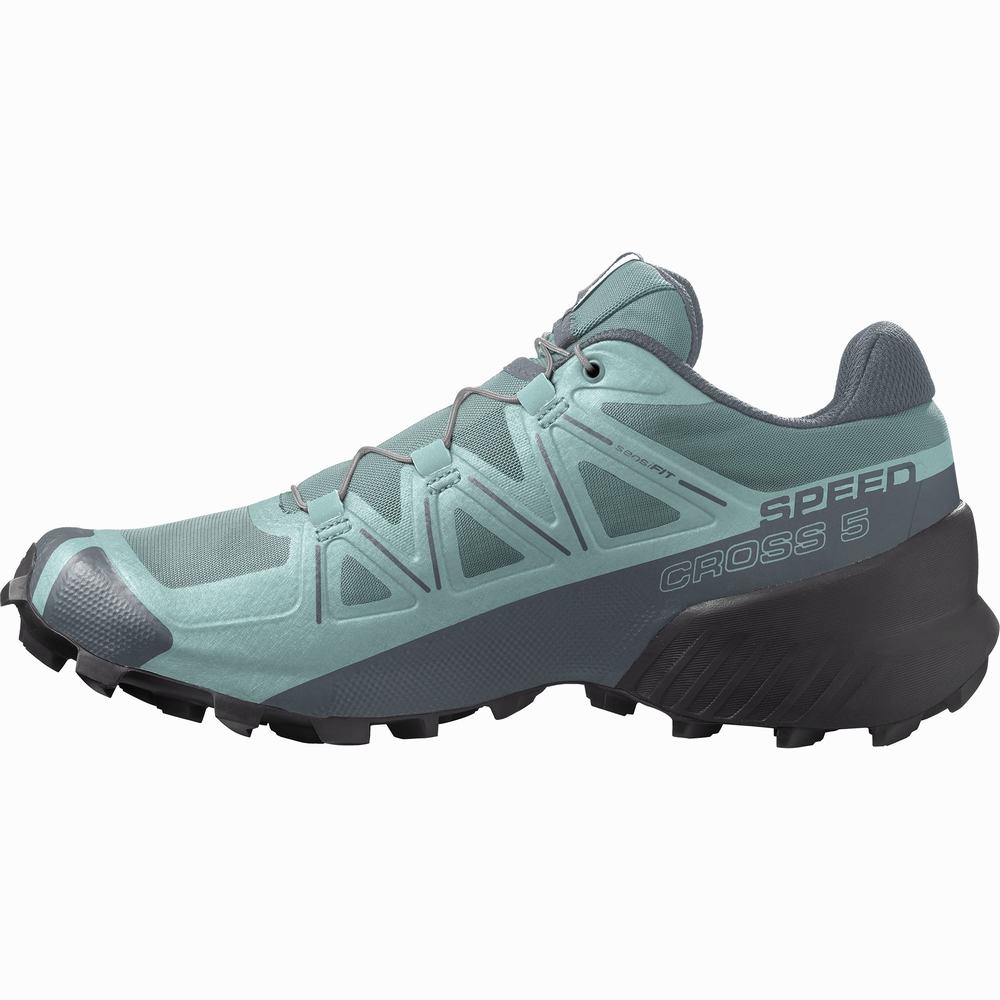 Salomon Speedcross 5 Patika Koşu Ayakkabısı Kadın Turkuaz | Türkiye-2379510