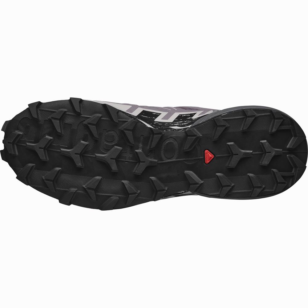 Salomon Speedcross 6 Geniş Patika Koşu Ayakkabısı Kadın Pembe | Türkiye-3621798