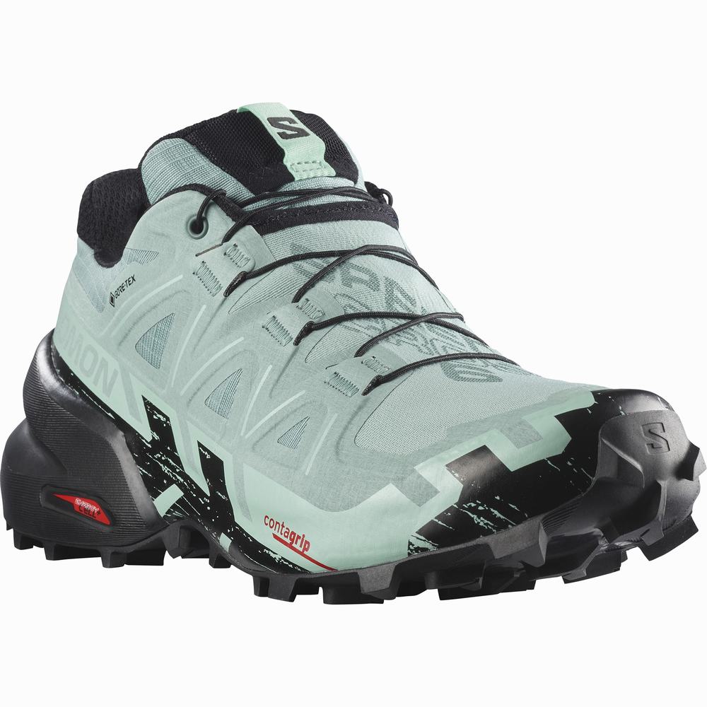 Salomon Speedcross 6 Gore-tex Patika Koşu Ayakkabısı Kadın Turquoise/Black | Türkiye-4986021