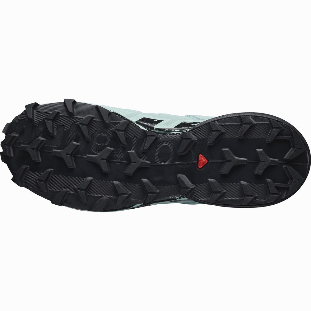 Salomon Speedcross 6 Gore-tex Patika Koşu Ayakkabısı Kadın Turquoise/Black | Türkiye-4986021