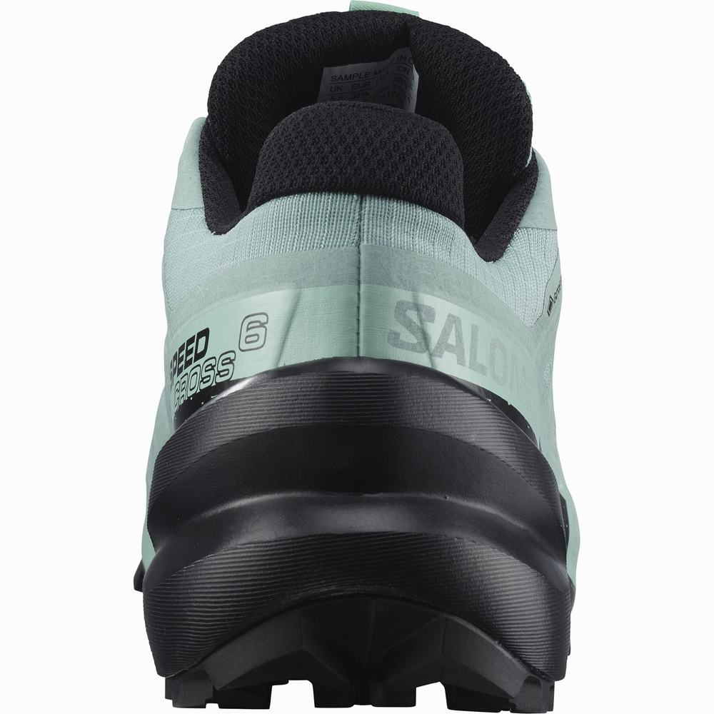 Salomon Speedcross 6 Gore-tex Patika Koşu Ayakkabısı Kadın Turquoise/Black | Türkiye-4986021