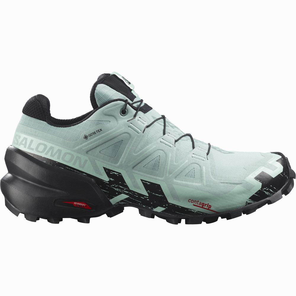 Salomon Speedcross 6 Gore-tex Patika Koşu Ayakkabısı Kadın Turquoise/Black | Türkiye-4986021