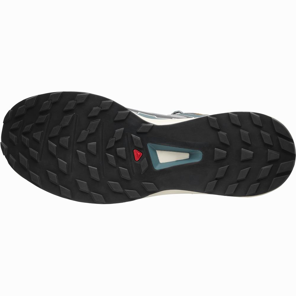 Salomon Ultra Raid Spor Ayakkabı Erkek Grey/Blue | Türkiye-3795081