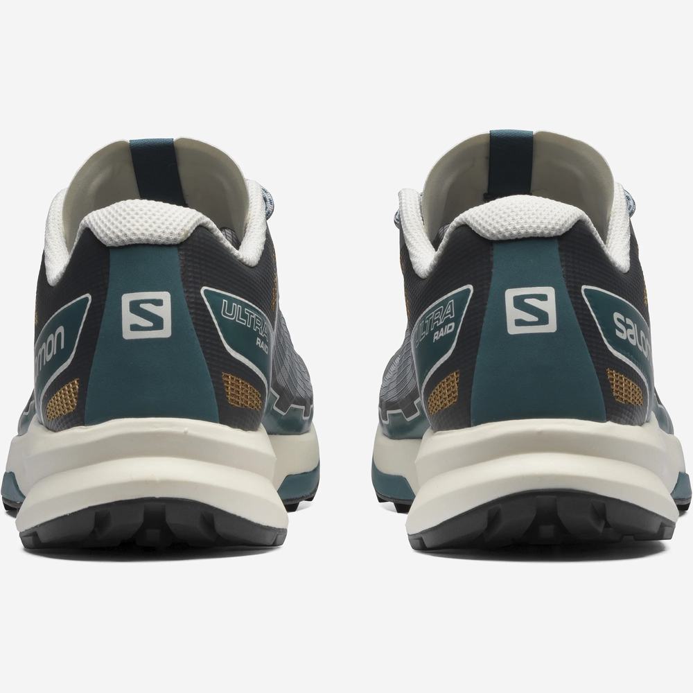 Salomon Ultra Raid Spor Ayakkabı Erkek Grey/Blue | Türkiye-3795081