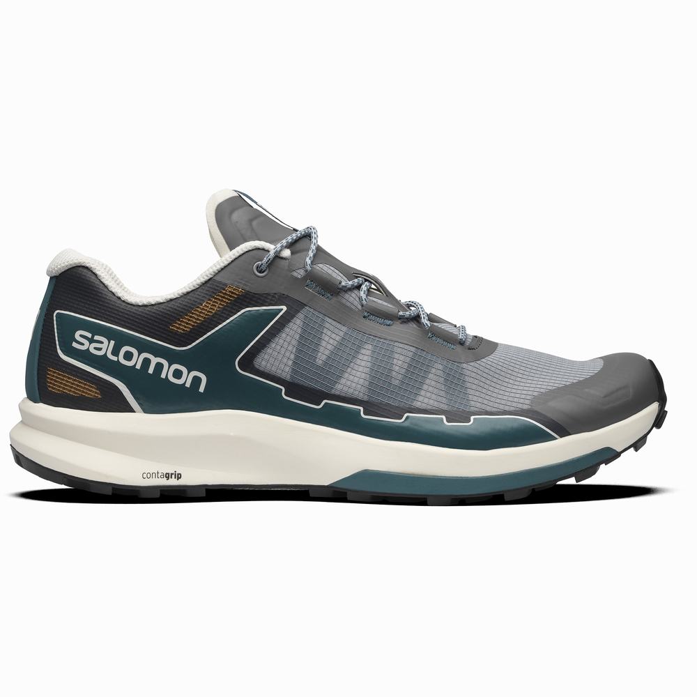 Salomon Ultra Raid Spor Ayakkabı Erkek Grey/Blue | Türkiye-3795081