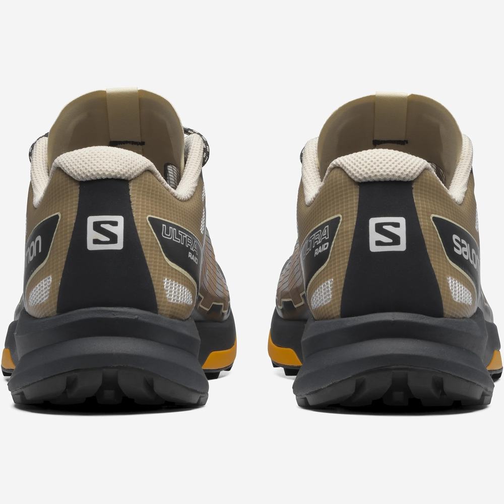 Salomon Ultra Raid Spor Ayakkabı Kadın Grey/Brown/Black | Türkiye-8560432