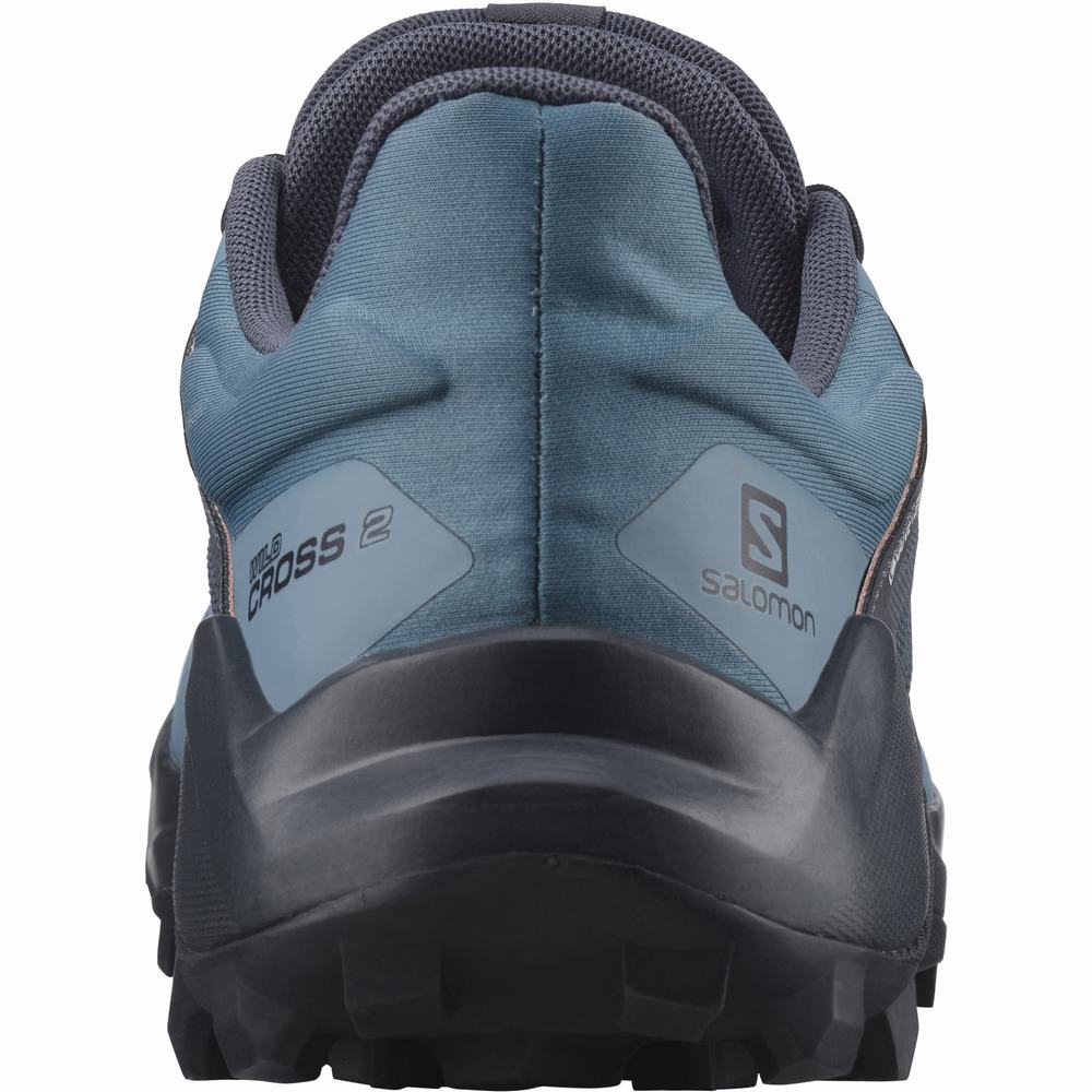 Salomon Wildcross 2 Gore-tex Patika Koşu Ayakkabısı Kadın Mavi Gri | Türkiye-7483691