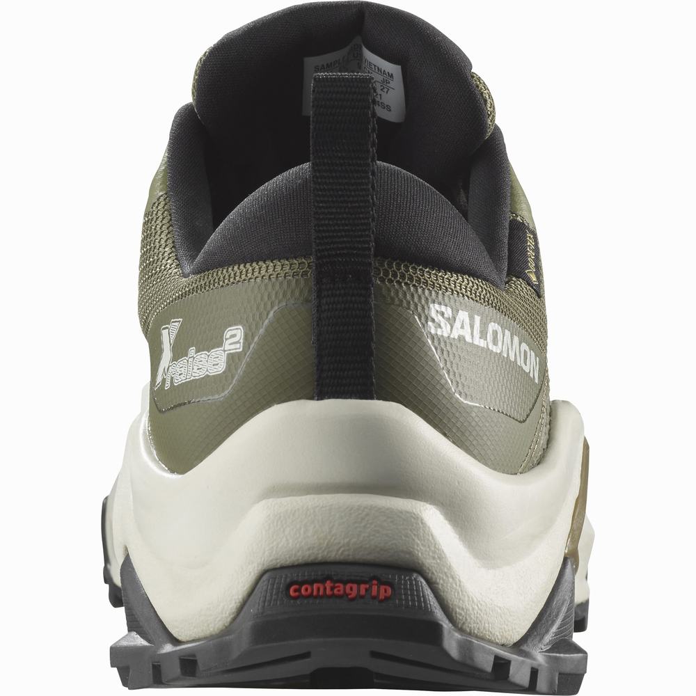 Salomon X Raise 2 Gore-tex Yürüyüş Ayakkabısı Erkek Koyu Yeşil | Türkiye-1236985