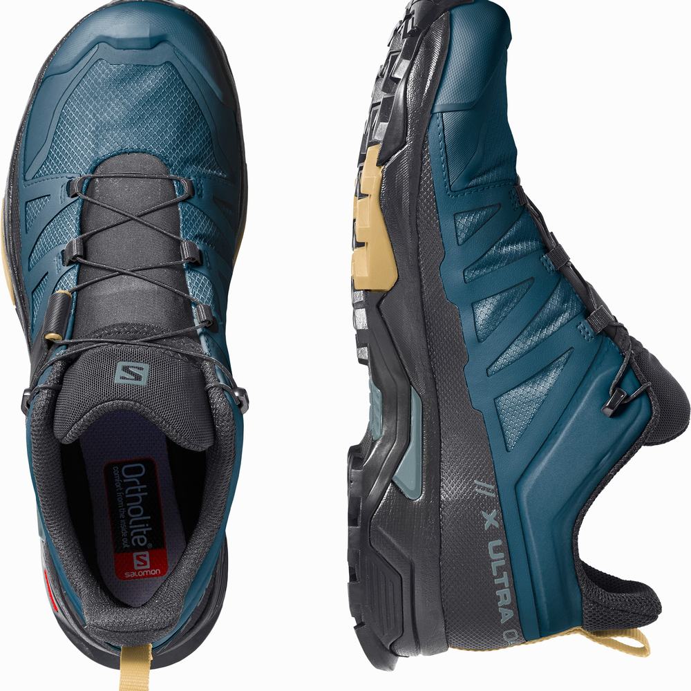 Salomon X Ultra 4 Gore-tex Yürüyüş Ayakkabısı Erkek Blue/Black | Türkiye-9723814