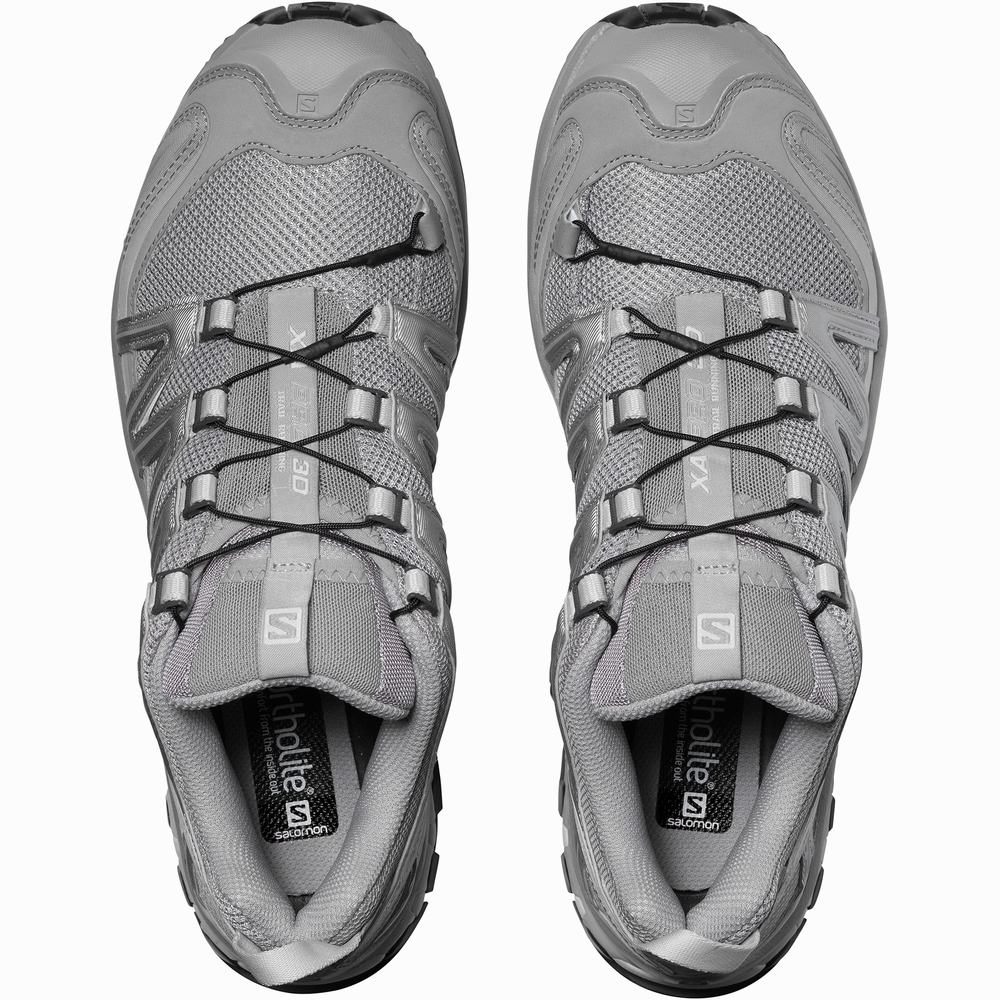 Salomon Xa Pro 3d Spor Ayakkabı Erkek Grey/Silver | Türkiye-7982405