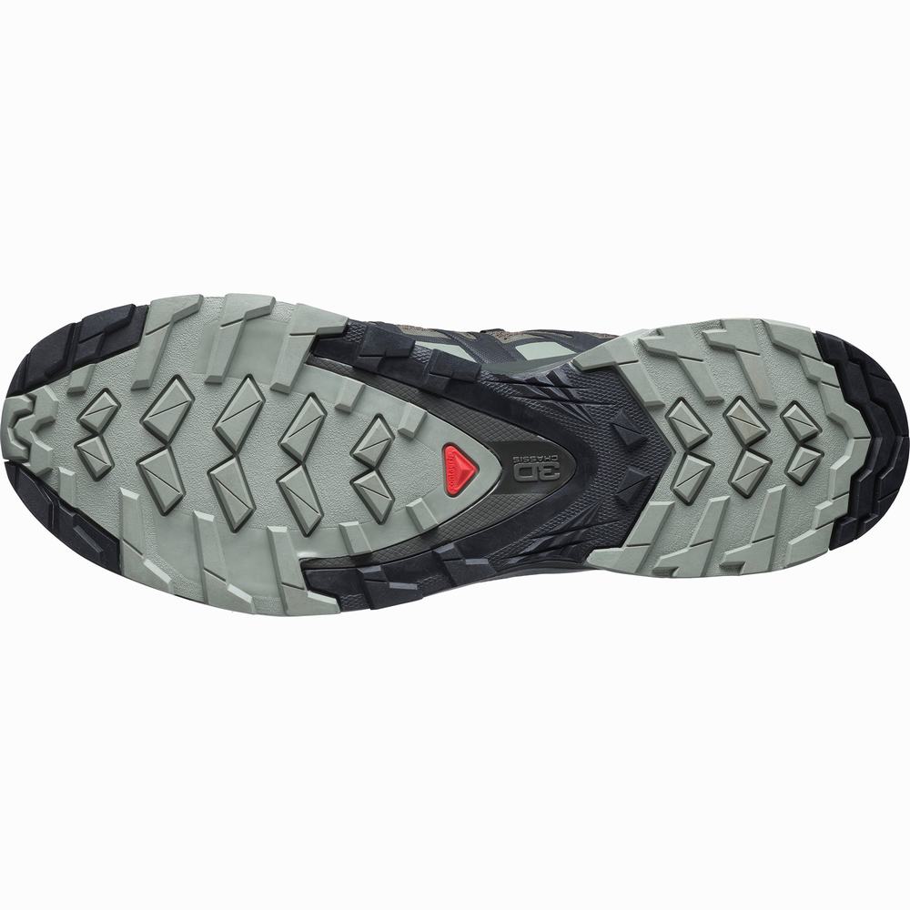 Salomon Xa Pro 3d V8 Geniş Yürüyüş Ayakkabısı Erkek Gri | Türkiye-4861705