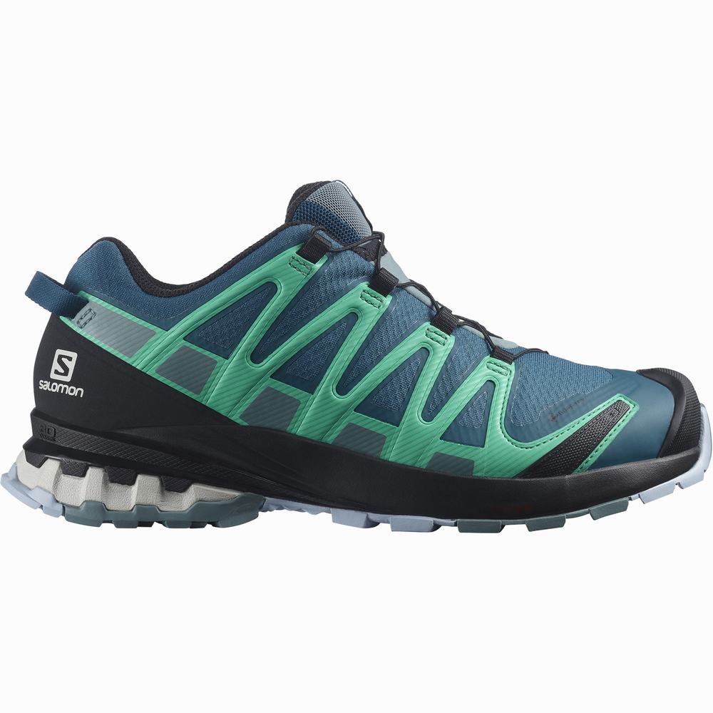 Salomon Xa Pro 3d V8 Gore-tex Patika Koşu Ayakkabısı Kadın Nane | Türkiye-5761403