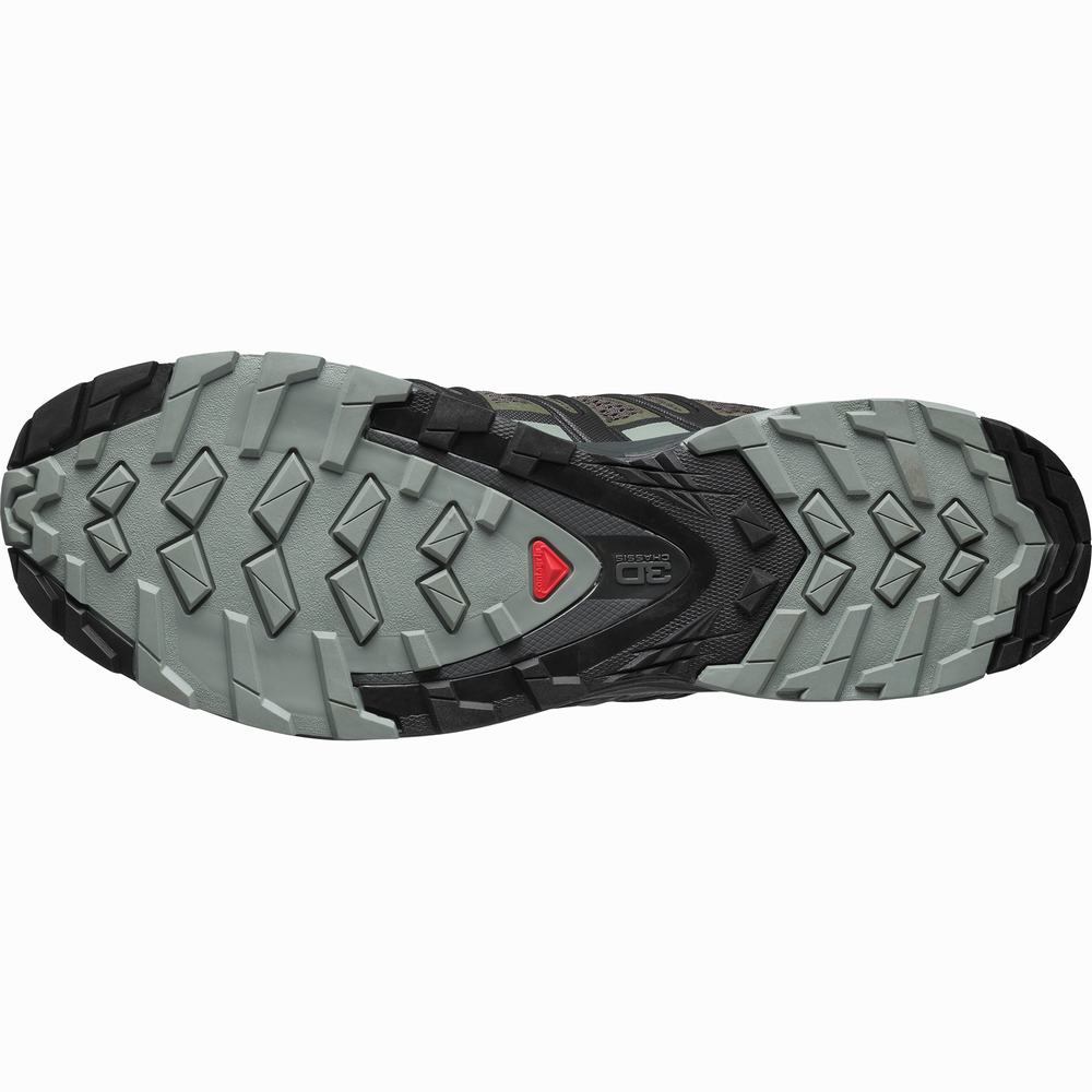 Salomon Xa Pro 3d V8 Patika Koşu Ayakkabısı Erkek Gri | Türkiye-1680527