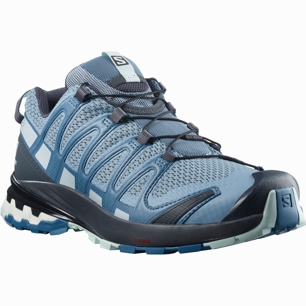 Salomon Xa Pro 3d V8 Yürüyüş Ayakkabısı Kadın Gri Mavi | Türkiye-0268395