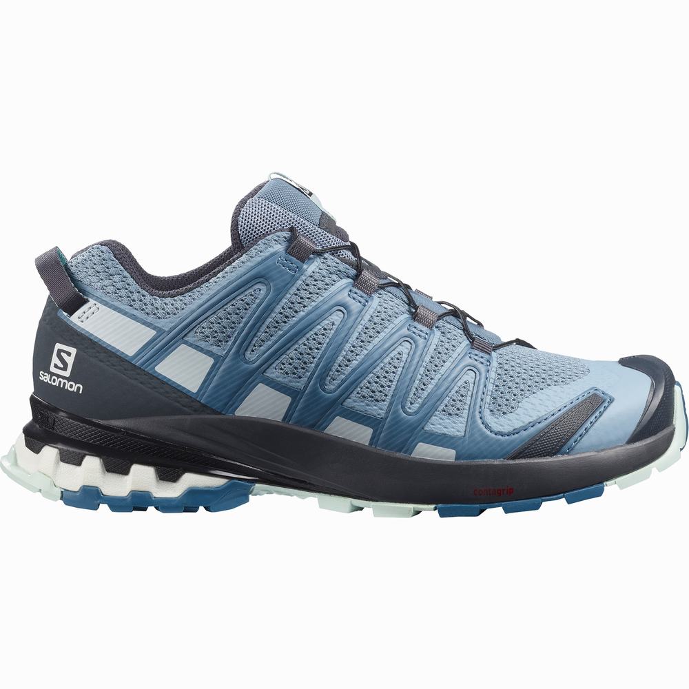 Salomon Xa Pro 3d V8 Yürüyüş Ayakkabısı Kadın Gri Mavi | Türkiye-0268395