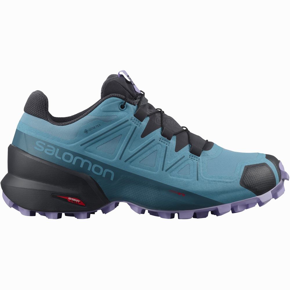 Salomon Speedcross 5 Gore-tex Patika Koşu Ayakkabısı Kadın Blue/Lavender | Türkiye-8467059