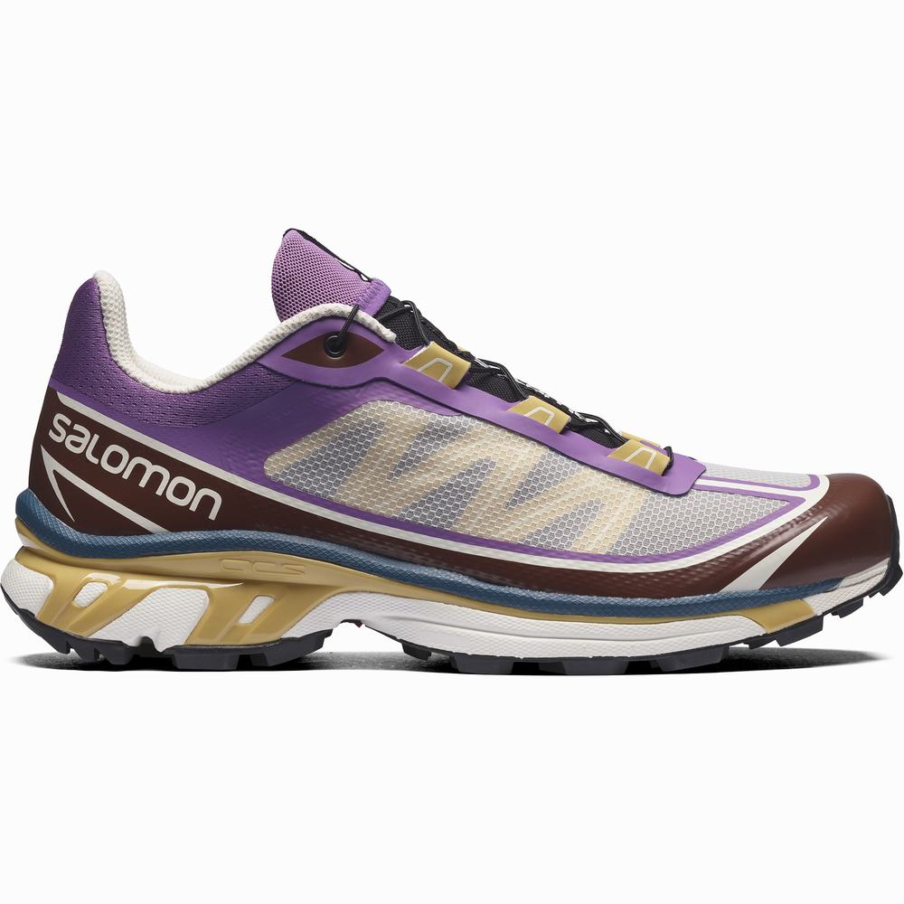 Salomon Xt-6 Ft Spor Ayakkabı Kadın Royal/Chocolate | Türkiye-4602851